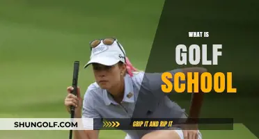 Golf School: Learning the Art of Golf