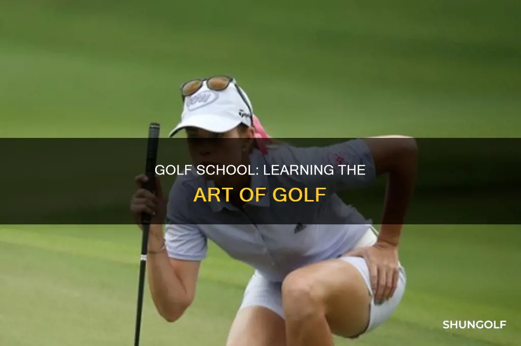 what is golf school