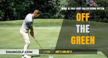 Mastering the Art of the Chip Shot: A Golfer's Guide