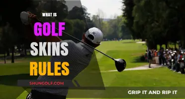 Understanding Golf Skins: Rules and Strategies