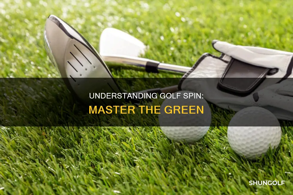 what is golf spin