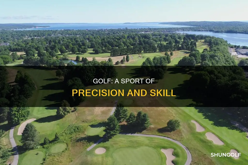 what is golf sport