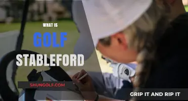 Understanding Golf Stableford: Scoring System Basics