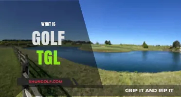 Golf TGL: The Future of Golfing?