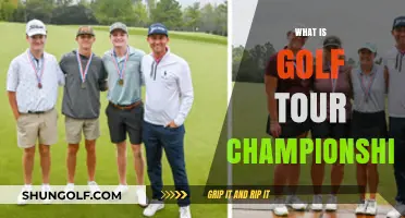 Golf Tour Championship: The Final Showdown