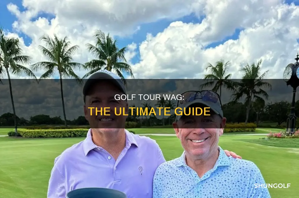 what is golf tour wag