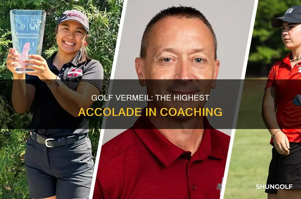 what is golf vermeil