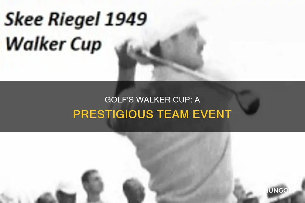 what is golf walker cup