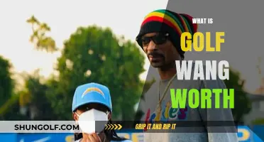 Golf Wang's Worth: A Multi-Million Dollar Streetwear Empire