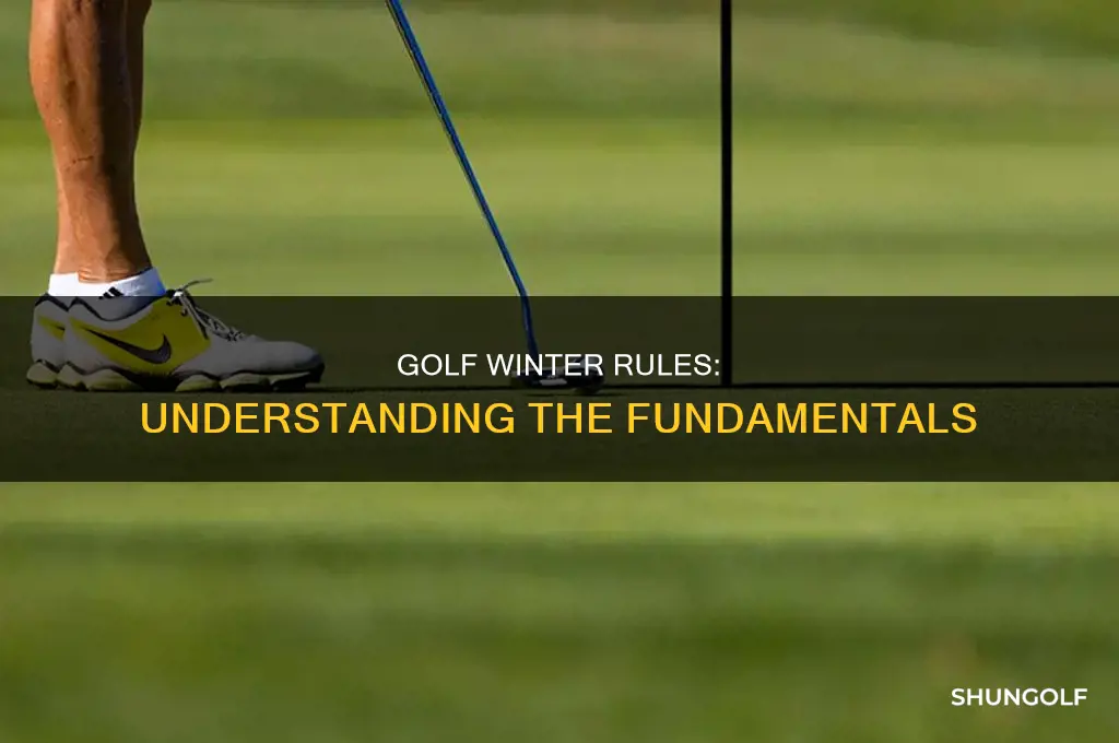what is golf winter rules