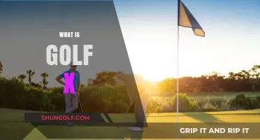 Golf X: The Ultimate Golf Experience