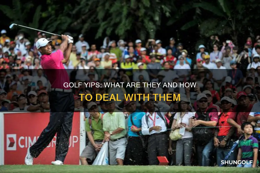 what is golf yips