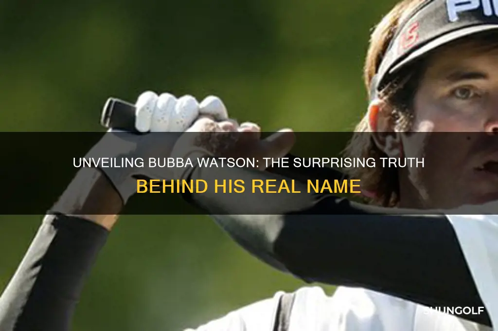 what is golfer bubba watson