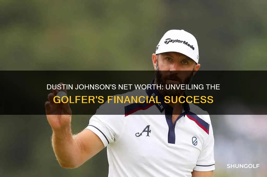 what is golfer dustin johnson
