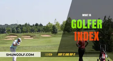 Golfer Index: What's Your Handicap?