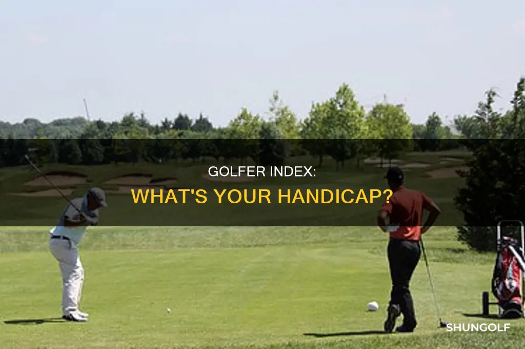 what is golfer index