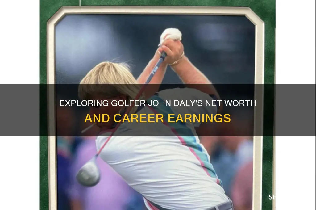 what is golfer john daly net worth