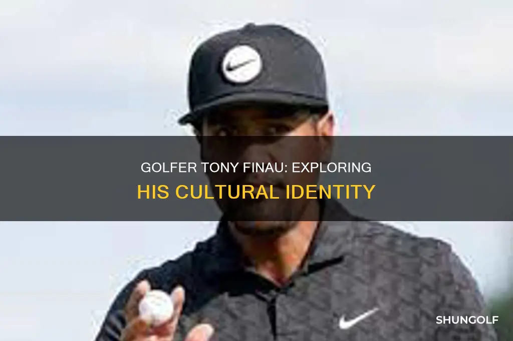 what is golfer tony finau nationality