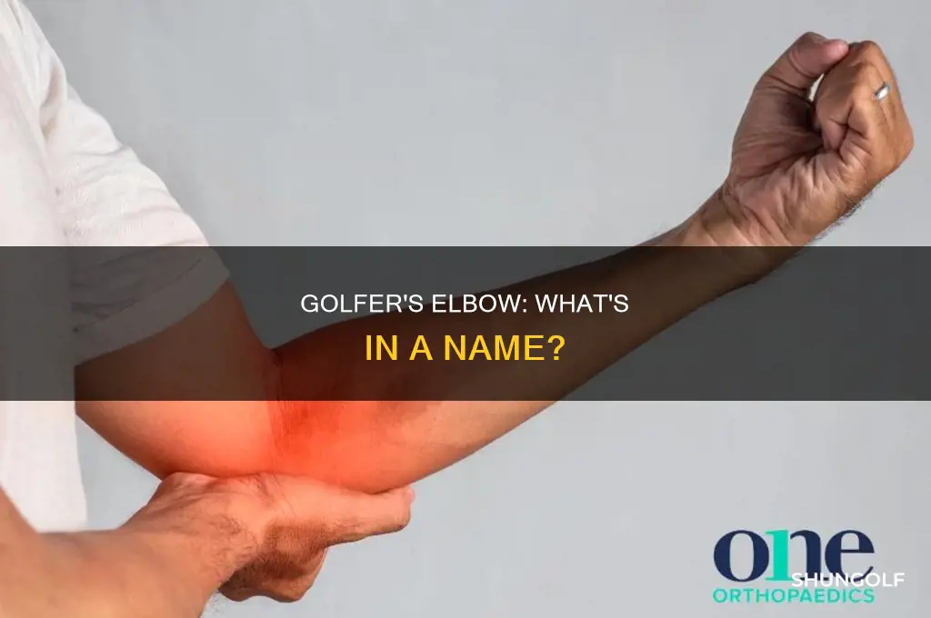 what is golfer