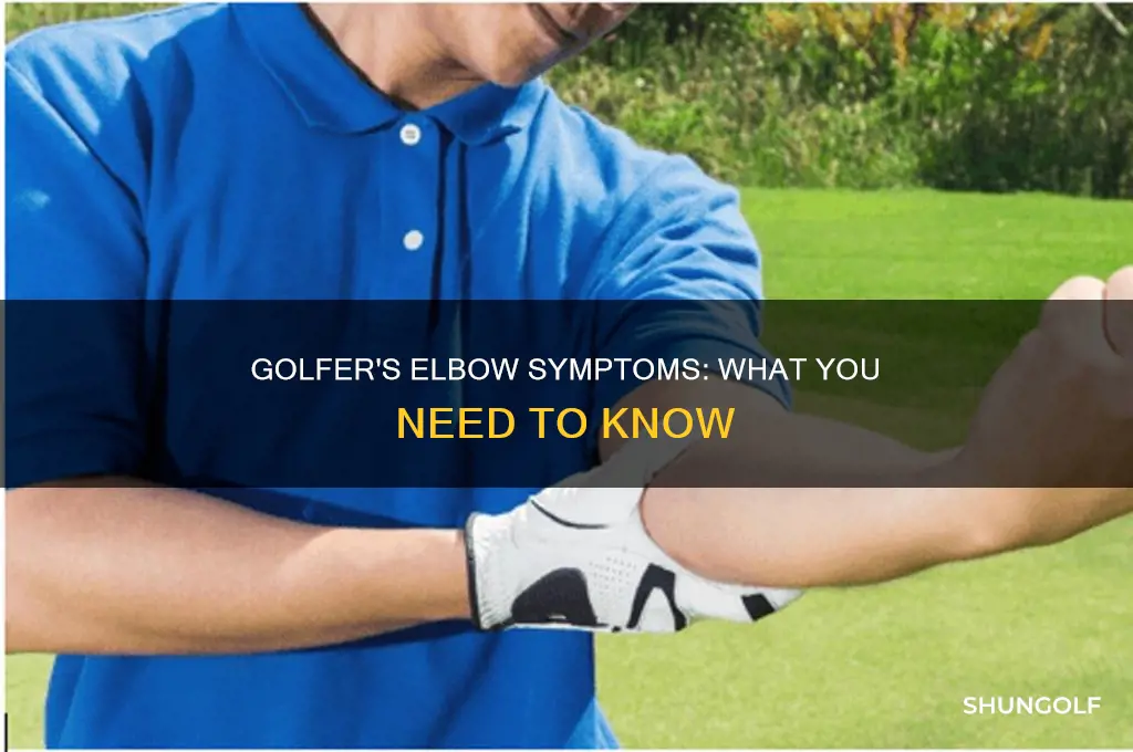 what is golfer