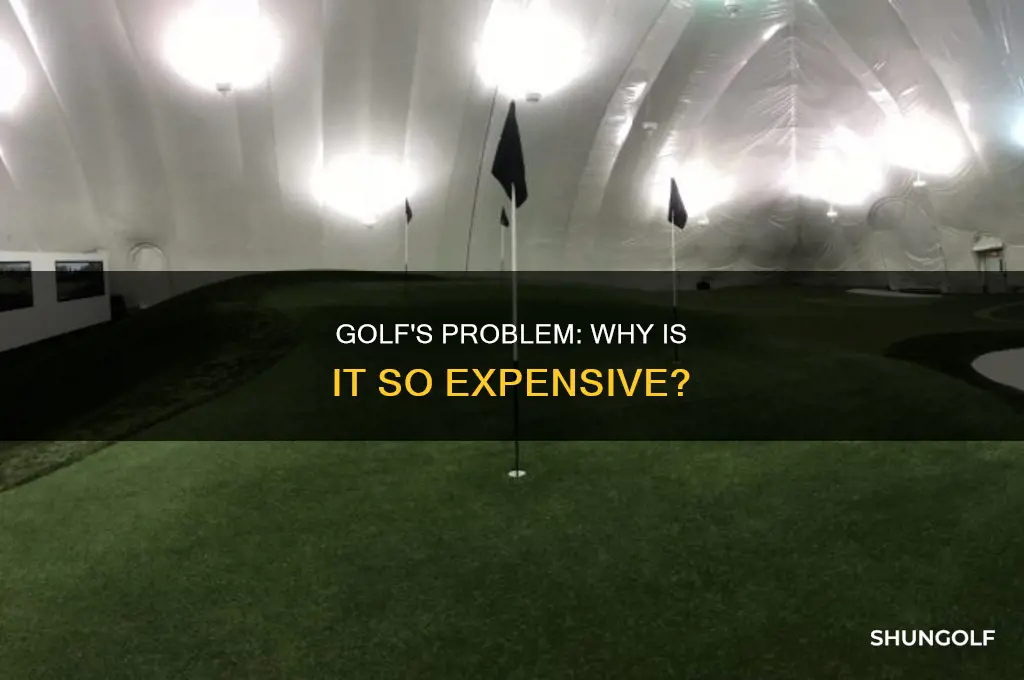 what is golfs problem