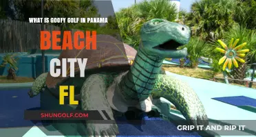 Discover Goofy Golf's Unique Charm in Panama City Beach, FL