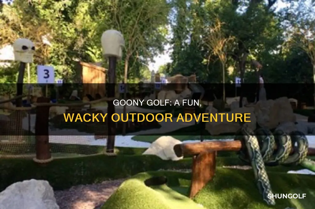 what is goony golf
