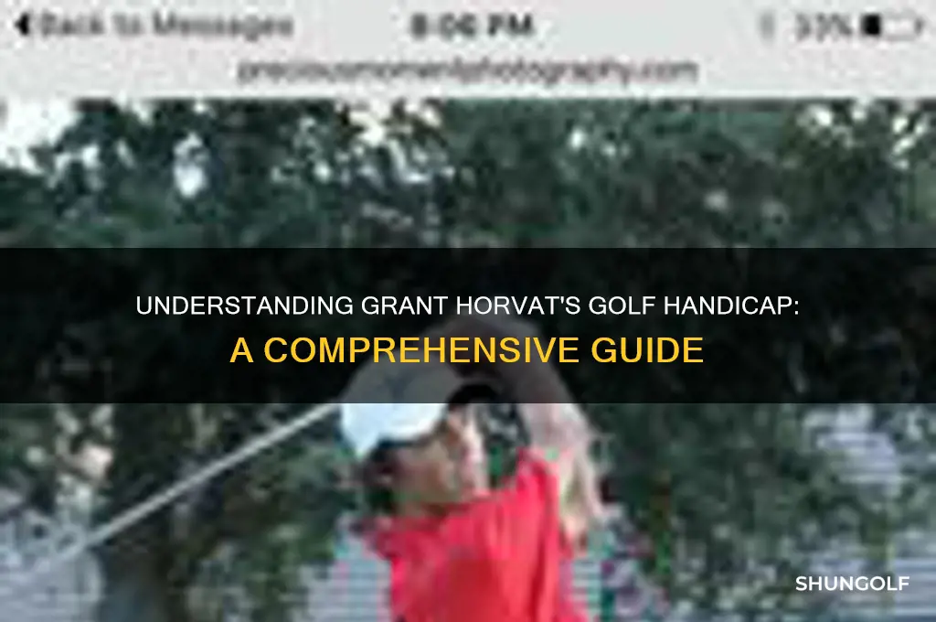 what is grant horvat golf handicap