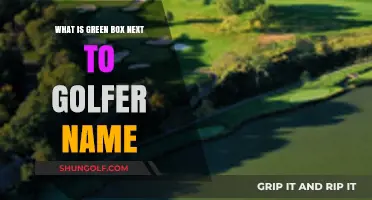 Understanding the Green Box: Its Meaning in Golf Leaderboards