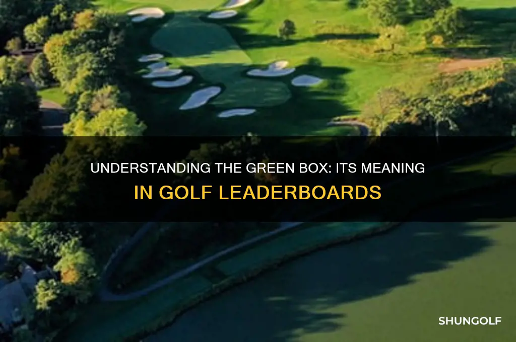 what is green box next to golfer name