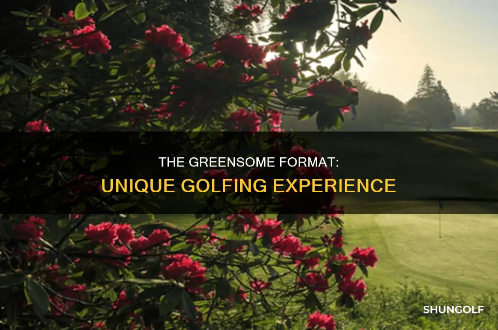 what is greensome format in golf