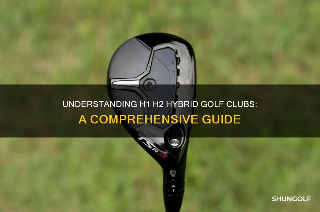 what is h1 h2 hybrid golf club