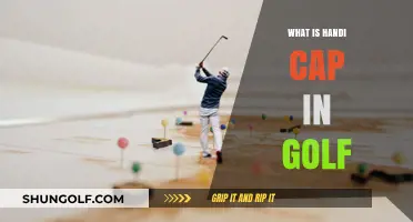 Understanding Golf Handicaps: Leveling the Playing Field