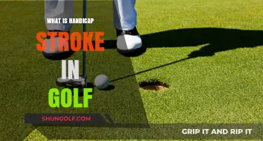 Understanding Handicap Strokes: A Beginner's Guide to Golf Scoring