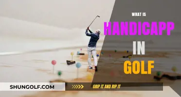 Golf Handicap: Understanding the System