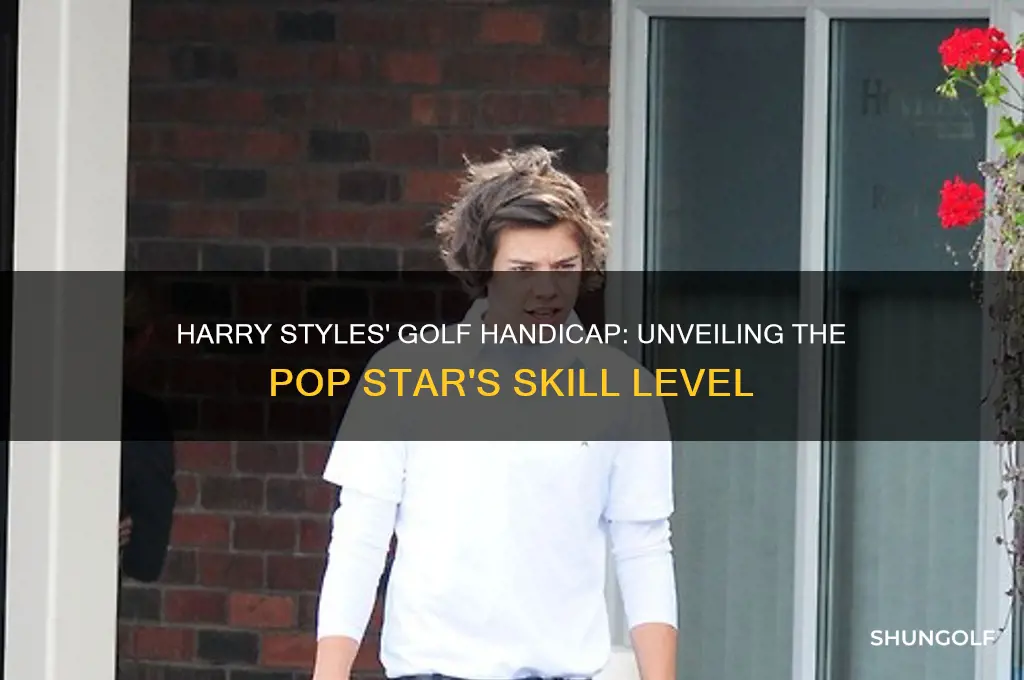 what is harry styles golf handicap