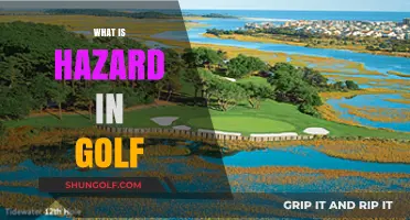 Golf Hazards: Understanding the Course's Challenges