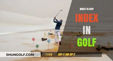 Understanding the HCP Index: Golf's Handicap System