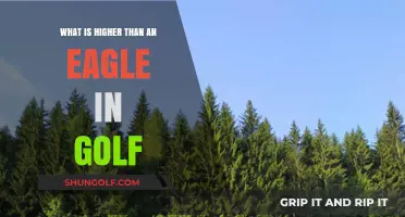 Golf's Elite Scores: Beyond the Eagle, What's Next?