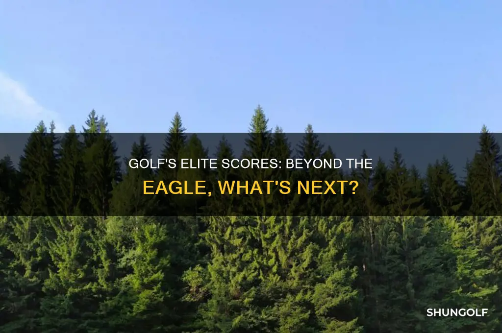 what is higher than an eagle in golf