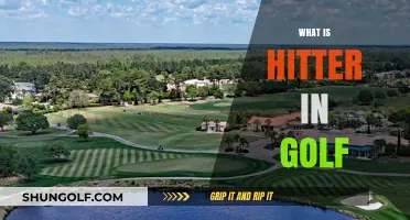 Golf Hitter: What's the Deal?