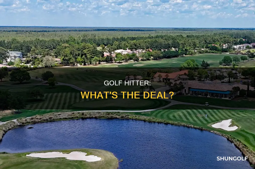 what is hitter in golf