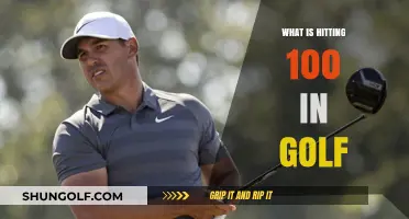 Golfers' Dream: Hitting 100, the Perfect Score