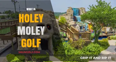 Holey Moley: Mini Golf, Maximum Fun