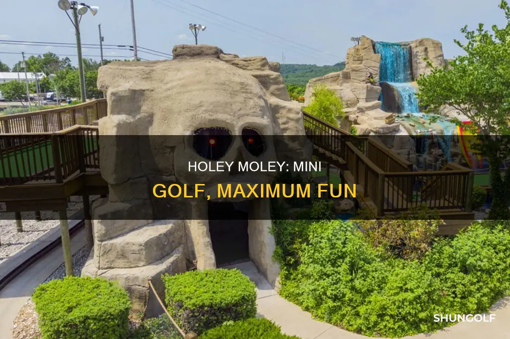 what is holey moley golf
