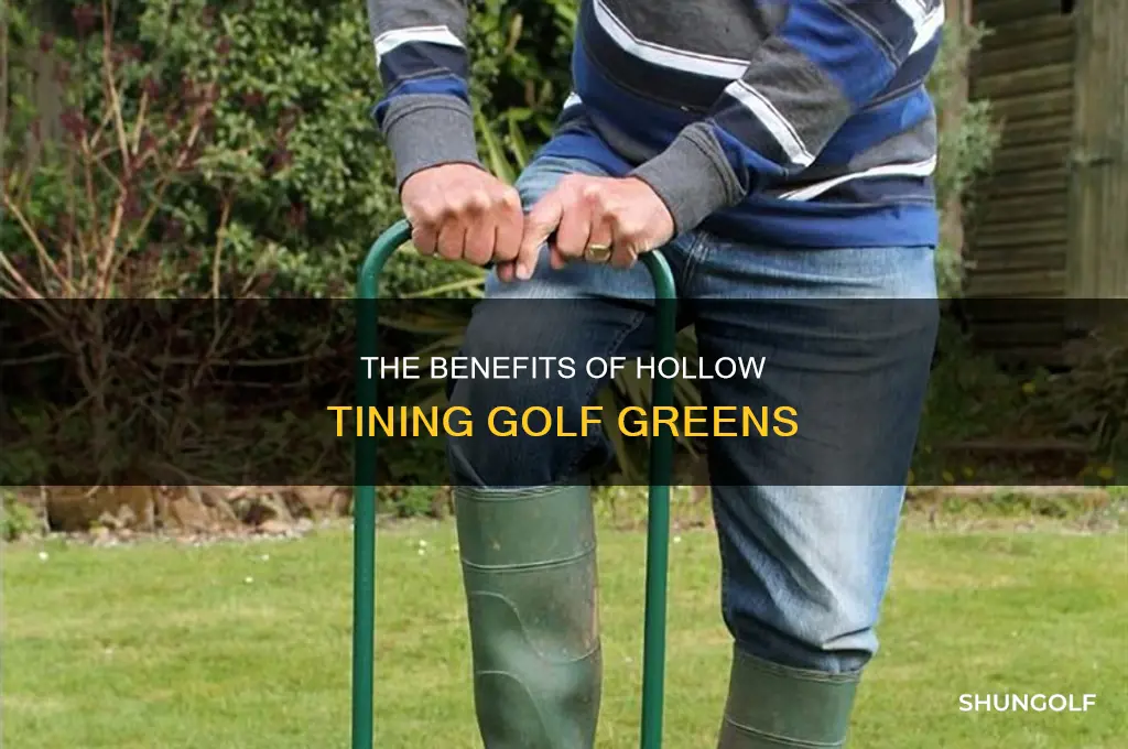 what is hollow tining golf greens