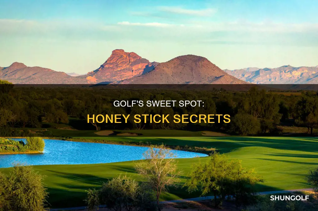 what is honey stick golf