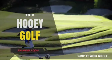 Hooey Golf: The Newest Golfing Craze
