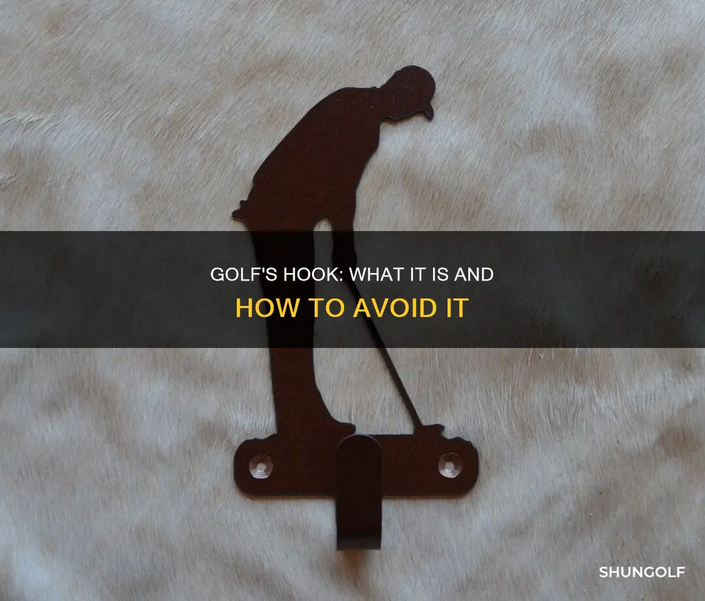 what is hook in golf