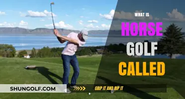 Horse Golf: A Unique Sport Explained